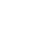 Logo-BERTech